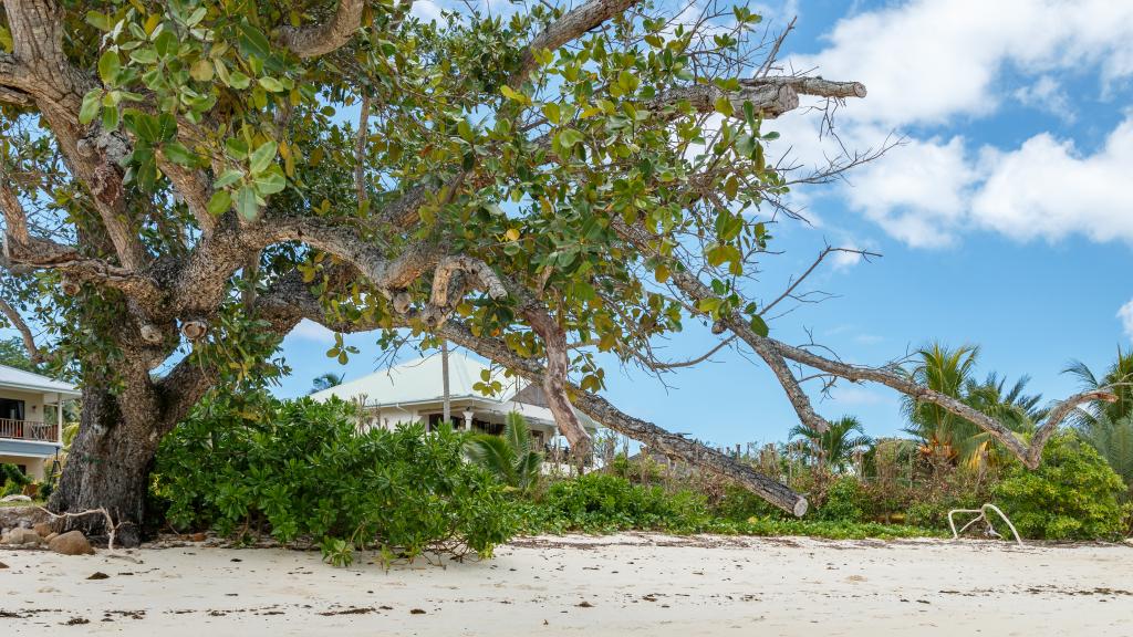 Foto 51: Surf Tropical Villa (Seascape Villa) - Cerf Island (Seychellen)