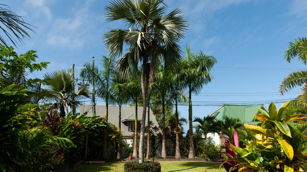 Foto 3: Nid'Aigle Lodge - Praslin (Seychellen)