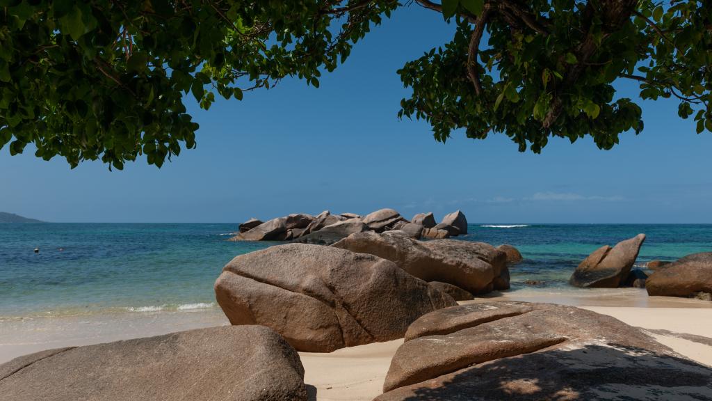 Foto 28: Nid'Aigle Lodge - Praslin (Seychellen)