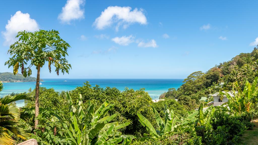 Photo 37: Man-Fiyo - Mahé (Seychelles)