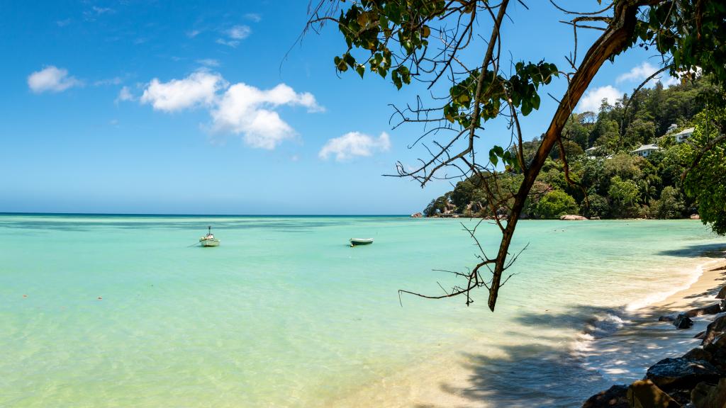 Photo 43: Man-Fiyo - Mahé (Seychelles)