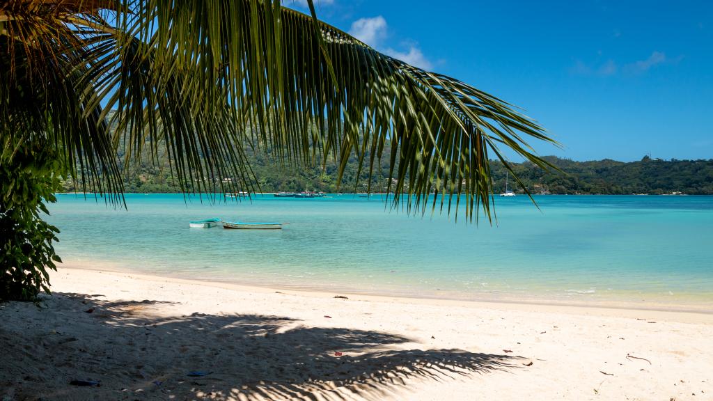 Photo 40: Man-Fiyo - Mahé (Seychelles)