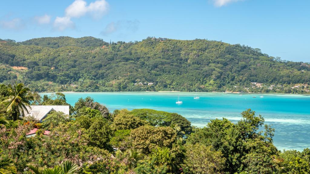 Photo 64: Man-Fiyo - Mahé (Seychelles)