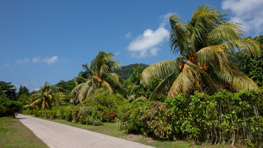 Foto 19: Pension Citadelle - La Digue (Seychelles)