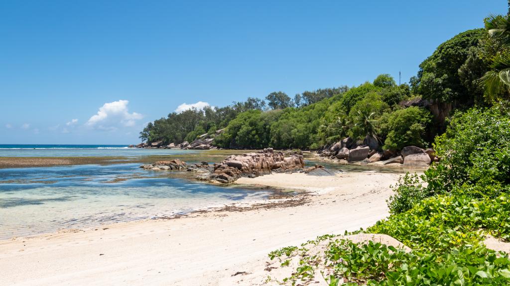 Photo 29: Blue Horizon Villas - Mahé (Seychelles)