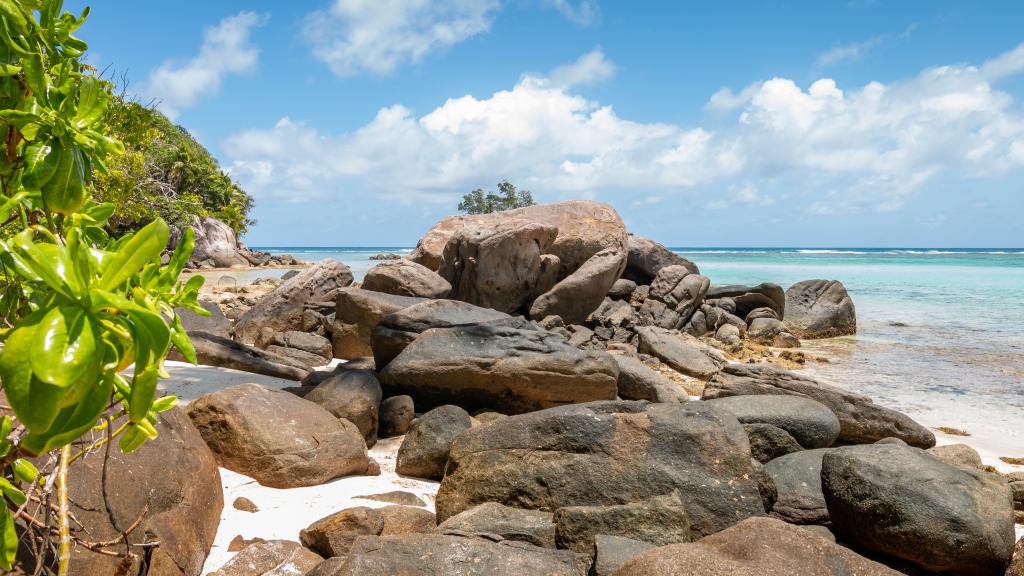 Photo 30: Blue Horizon Villas - Mahé (Seychelles)