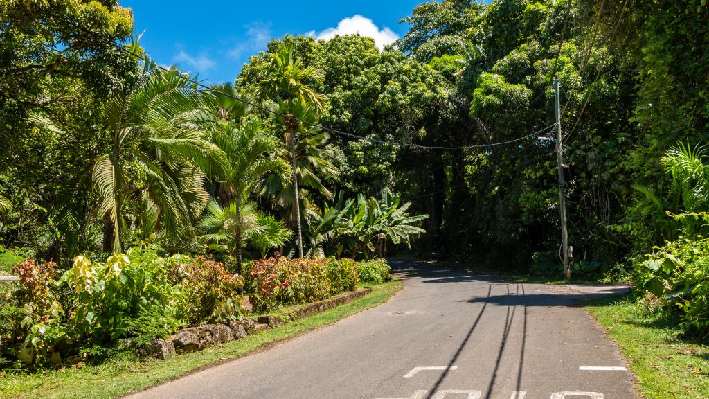 Foto 22: Belle Montagne Holiday - Mahé (Seychellen)