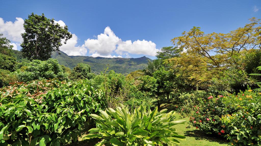 Foto 55: Lemongrass Lodge - Mahé (Seychelles)