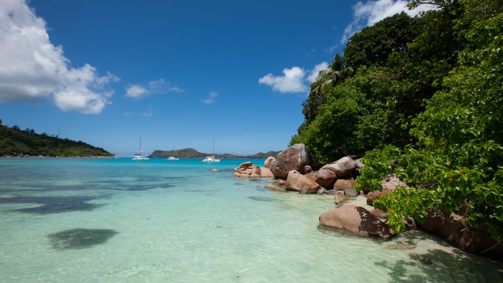 Foto 22: Chauve Souris Relais - Praslin (Seychelles)