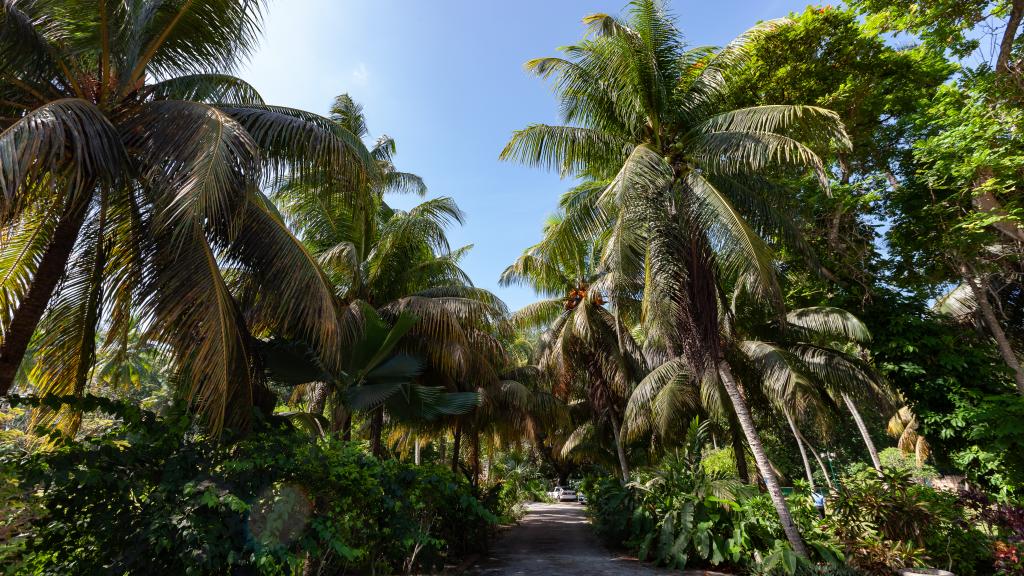 Foto 19: Hotel Cote D'Or Lodge - Praslin (Seychelles)