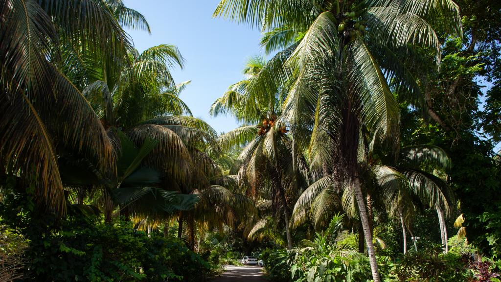 Foto 39: Hotel Cote D'Or Lodge - Praslin (Seychelles)