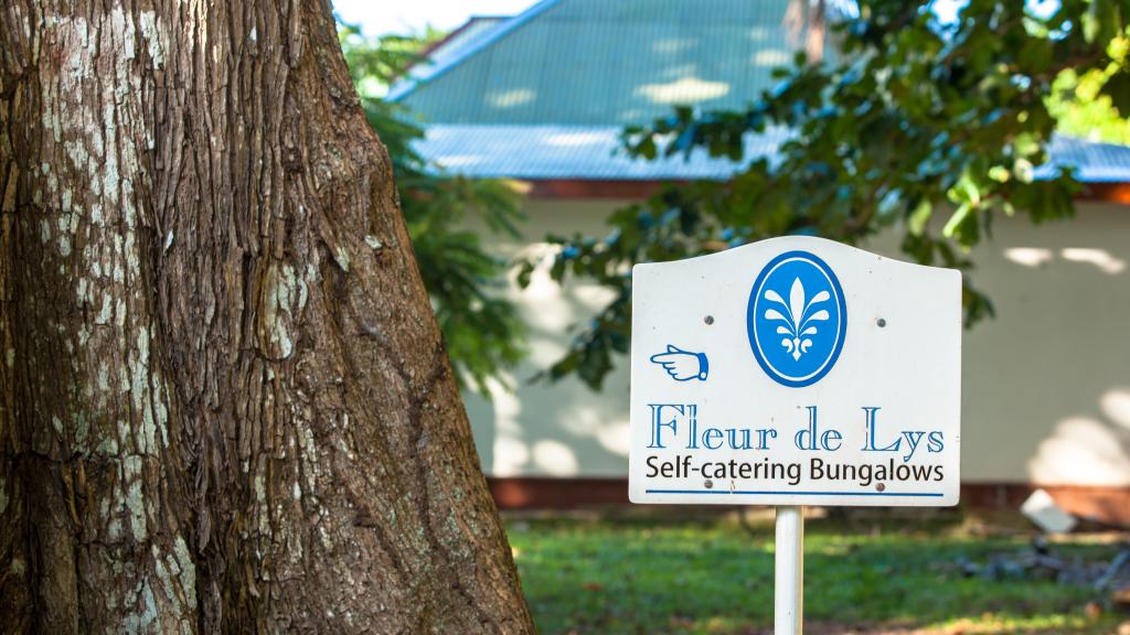 Foto 19: Fleur de Lys - La Digue (Seychelles)