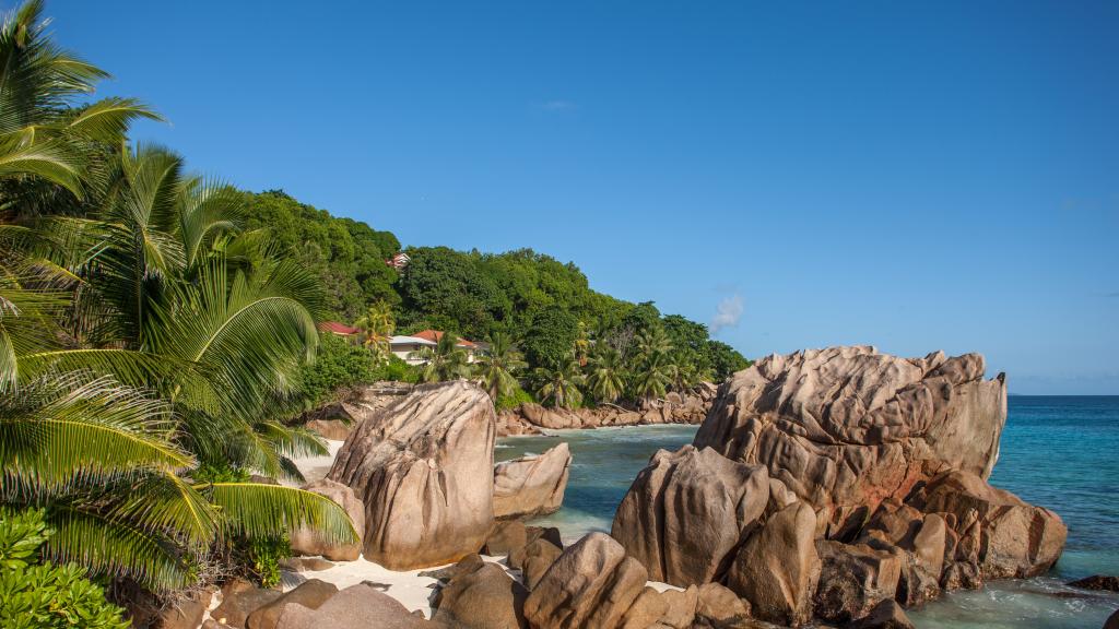 Foto 57: Fleur de Lys - La Digue (Seychellen)