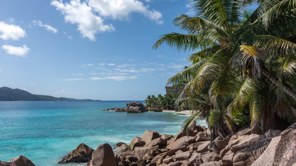 Foto 58: Fleur de Lys - La Digue (Seychellen)