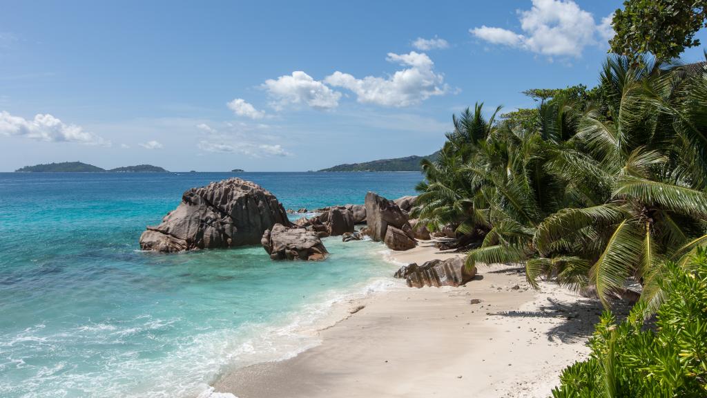 Foto 55: Fleur de Lys - La Digue (Seychellen)