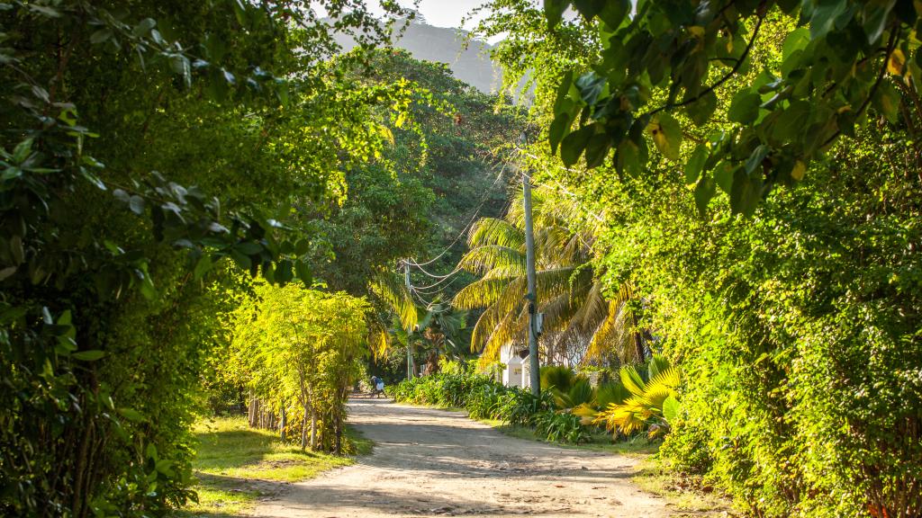 Foto 48: Fleur de Lys - La Digue (Seychellen)