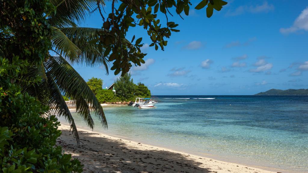 Foto 61: Fleur de Lys - La Digue (Seychellen)