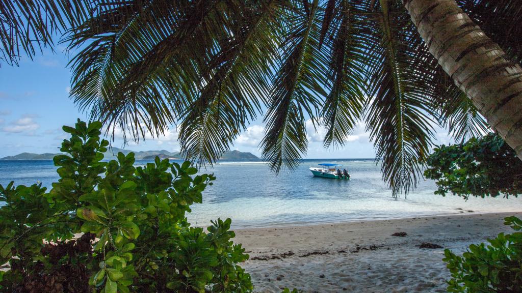 Foto 59: Fleur de Lys - La Digue (Seychellen)