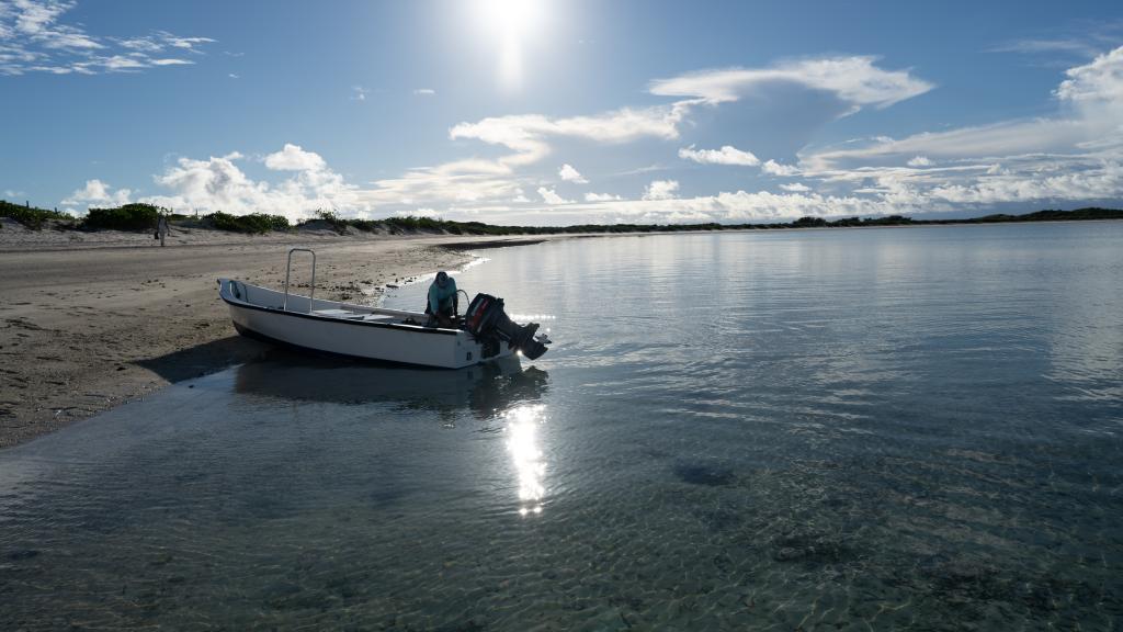 Foto 42: Cosmoledo Eco Camp - Cosmoledo (Seychellen)