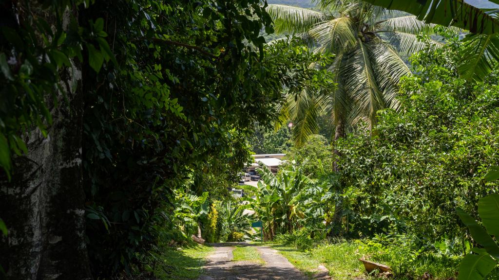 Foto 21: Tama's Holiday Apartments - Mahé (Seychellen)