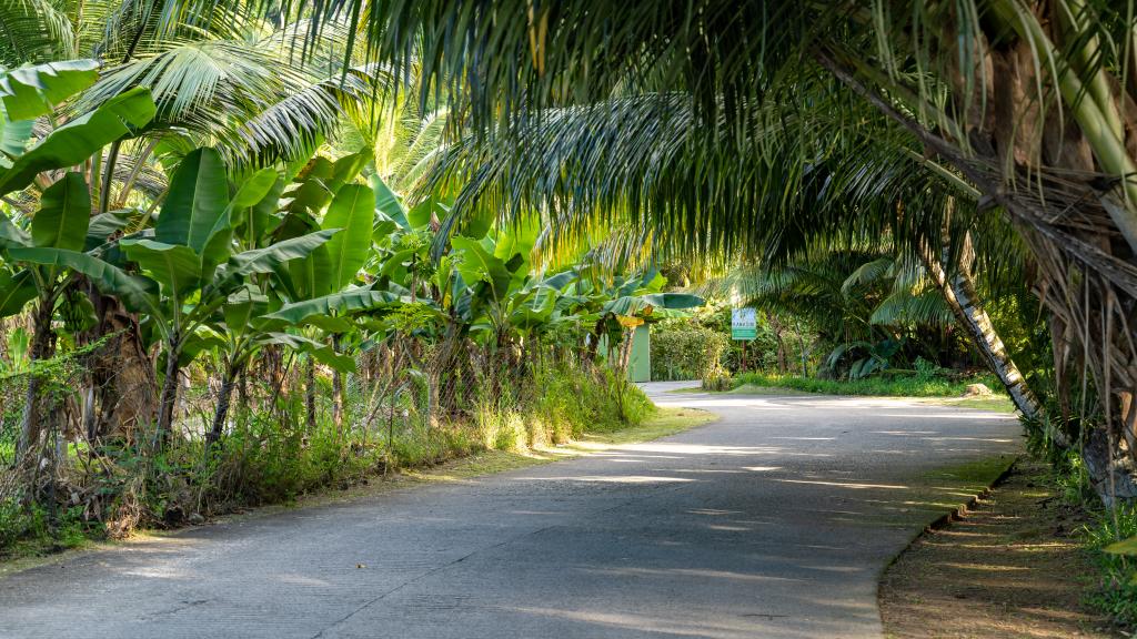 Foto 9: Kanasuk Self Catering Apartments - Mahé (Seychellen)