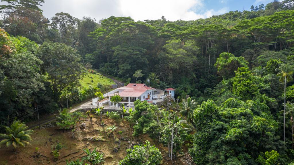 Foto 2: Jane's Serenity Guesthouse - Mahé (Seychelles)