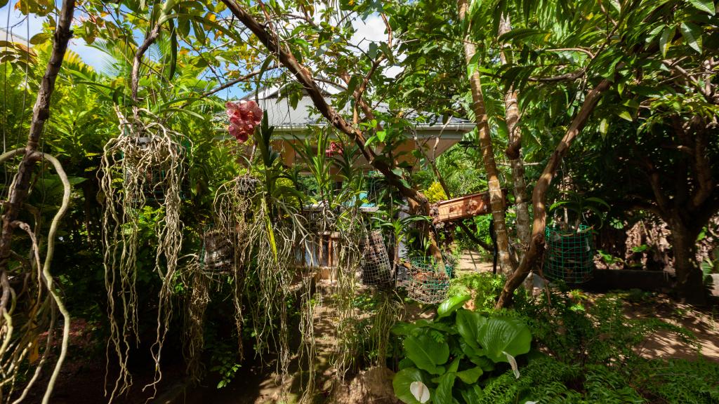 Foto 19: Bernique Guesthouse - La Digue (Seychelles)