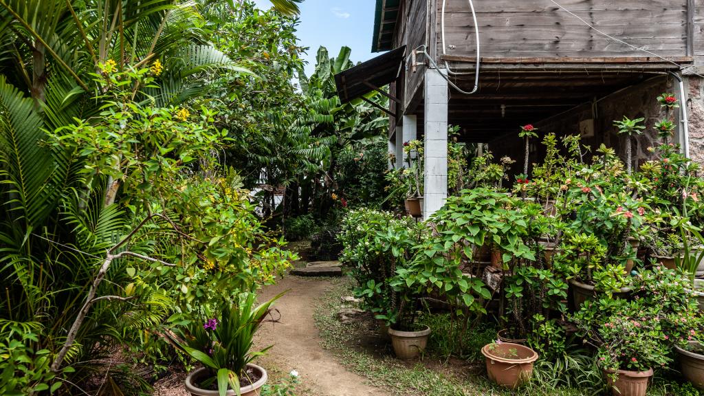 Photo 36: Bernique Guesthouse - La Digue (Seychelles)