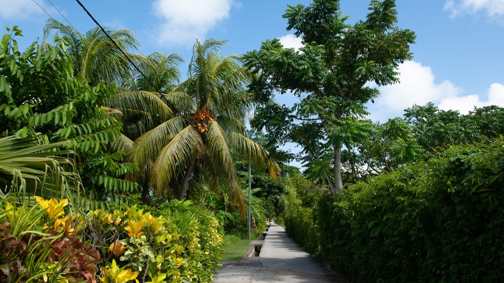 Photo 18: Chez Mera Self Catering - La Digue (Seychelles)