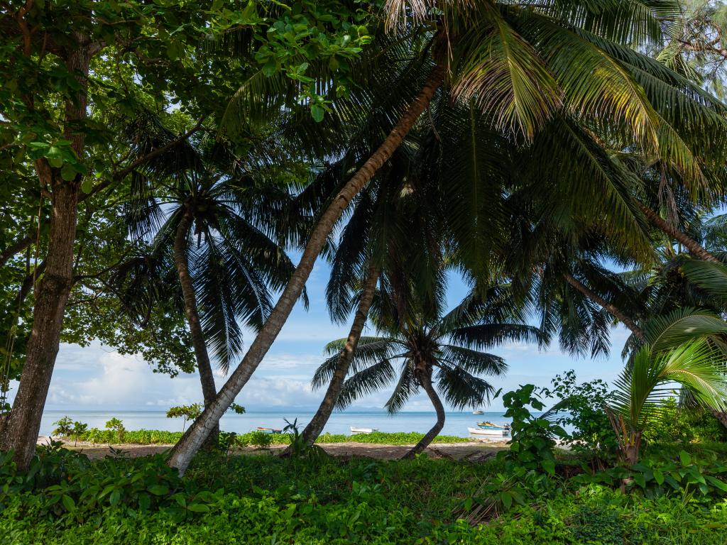 Hotel Plein Soleil - Foto 7