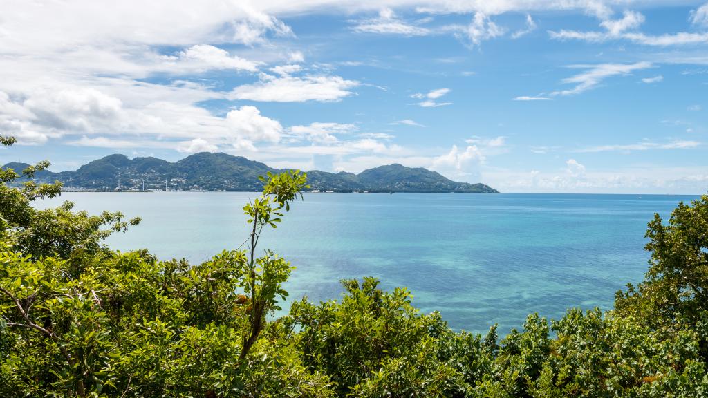 Photo 57: Cerf Island Resort - Cerf Island (Seychelles)