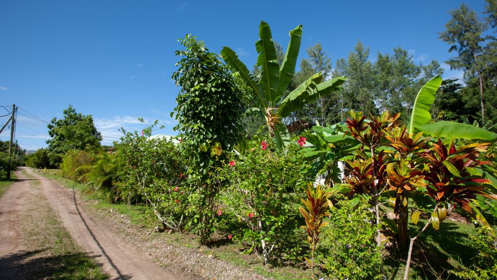 Foto 30: Destination Self-Catering - Praslin (Seychellen)