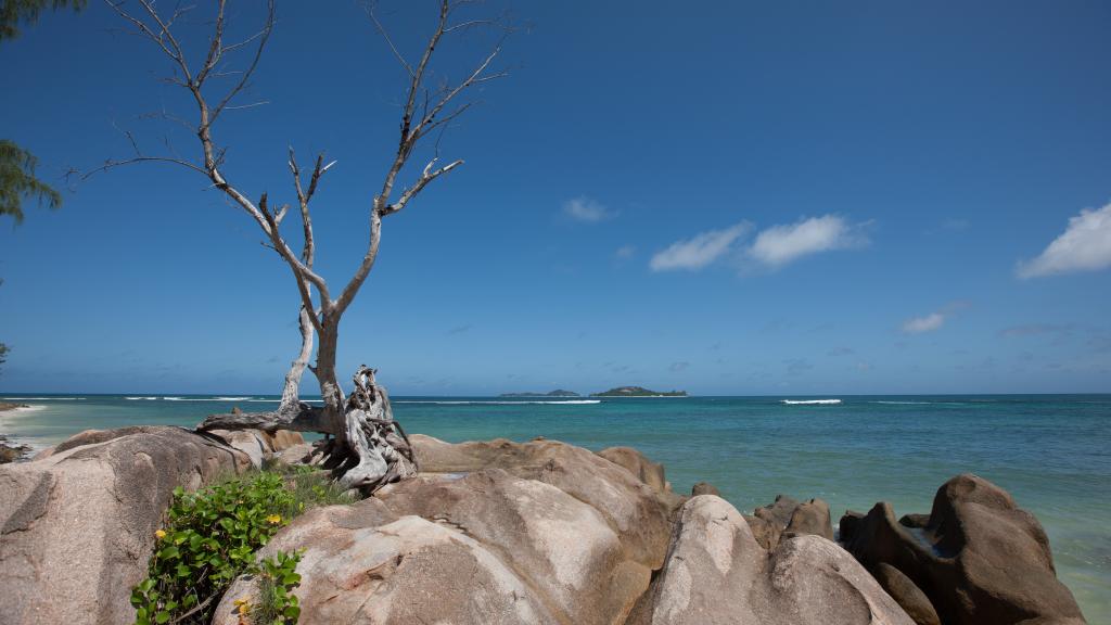 Foto 27: Amitie Chalets - Praslin (Seychelles)