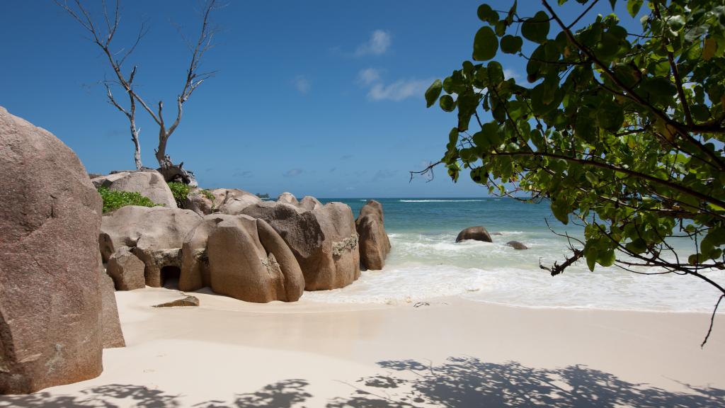 Foto 25: Amitie Chalets - Praslin (Seychelles)