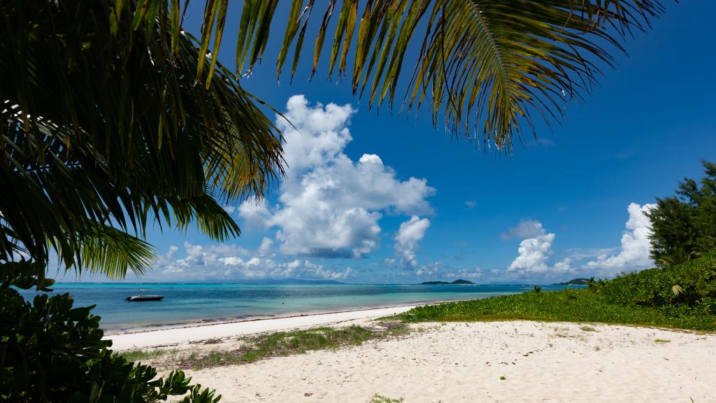 Photo 6: Amitie Chalets - Praslin (Seychelles)