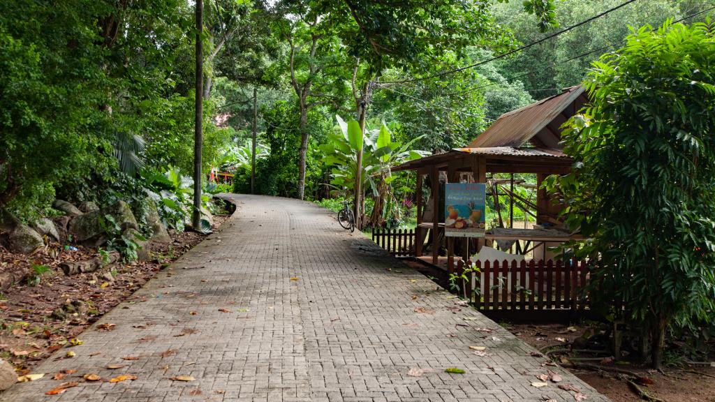 Photo 23: Dan Zoranz Self Catering Guest House - La Digue (Seychelles)