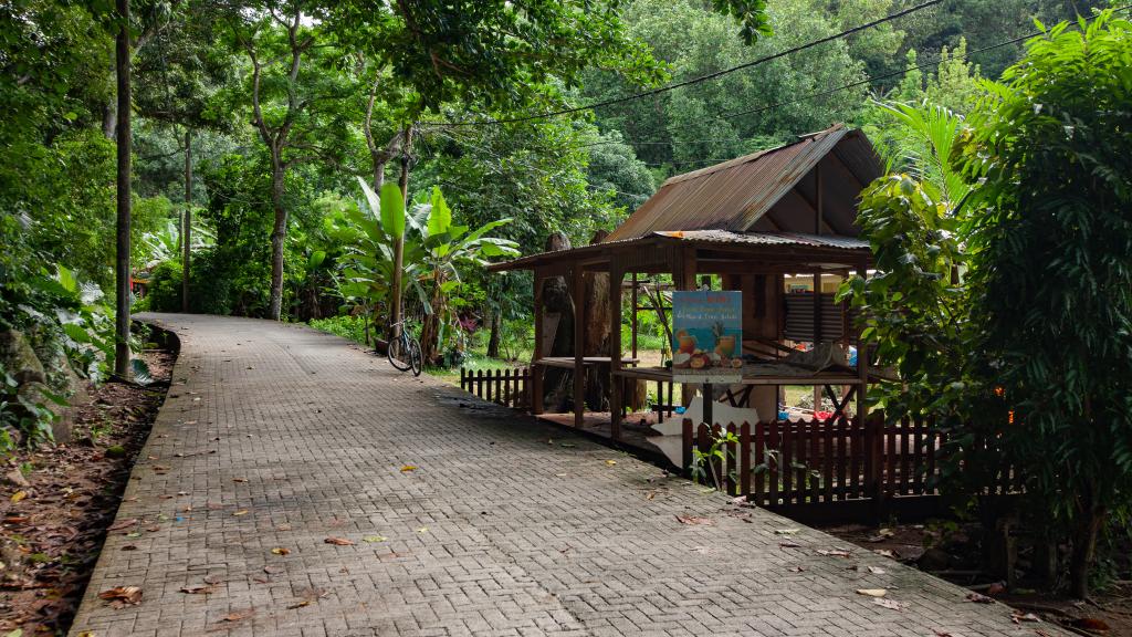 Photo 26: Dan Zoranz Self Catering Guest House - La Digue (Seychelles)