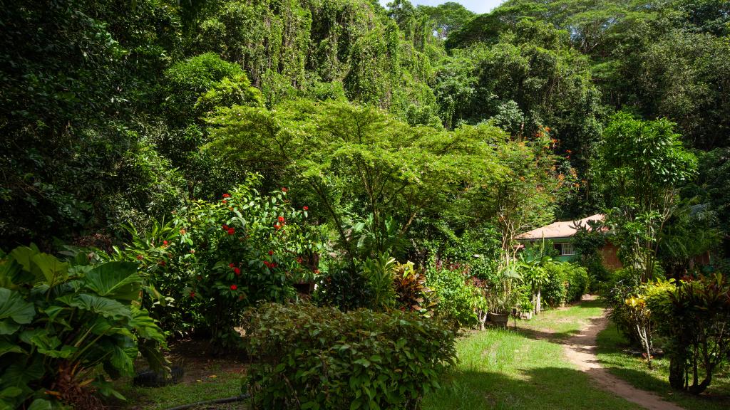 Foto 28: Dan Zoranz Self Catering Guest House - La Digue (Seychelles)