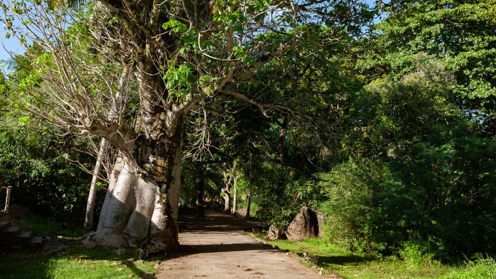 Foto 32: Chloe's Cottage - La Digue (Seychellen)