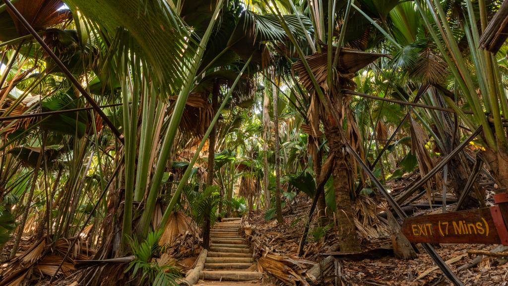 Foto 49: Fond B'Offay Lodge - Praslin (Seychelles)