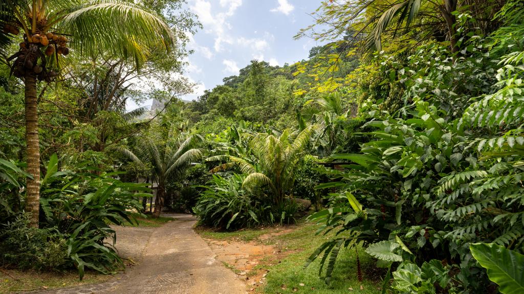 Foto 21: Coconut Climb - Mahé (Seychelles)