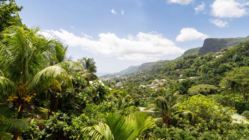 Foto 29: Coconut Climb - Mahé (Seychelles)