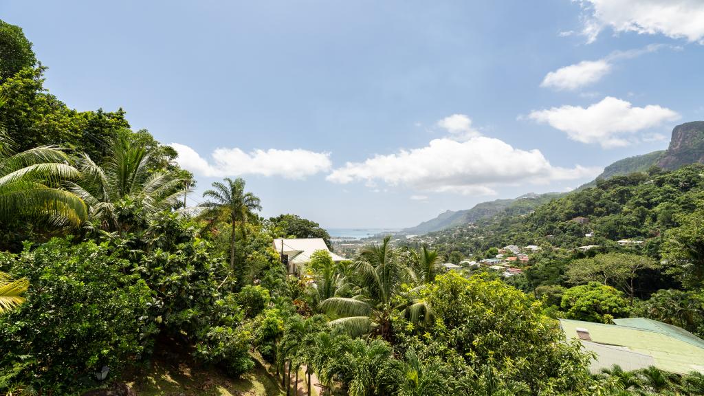 Foto 51: Coconut Climb - Mahé (Seychelles)