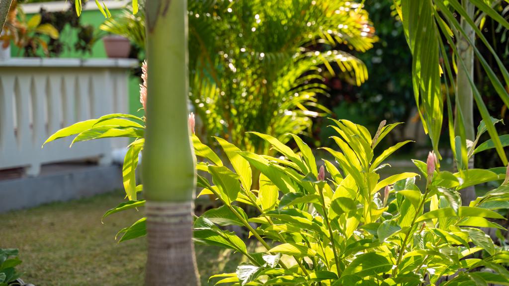 Photo 15: 340 Degrees Mountain View Apartments - Mahé (Seychelles)