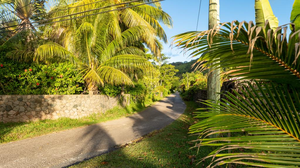 Photo 28: 340 Degrees Mountain View Apartments - Mahé (Seychelles)