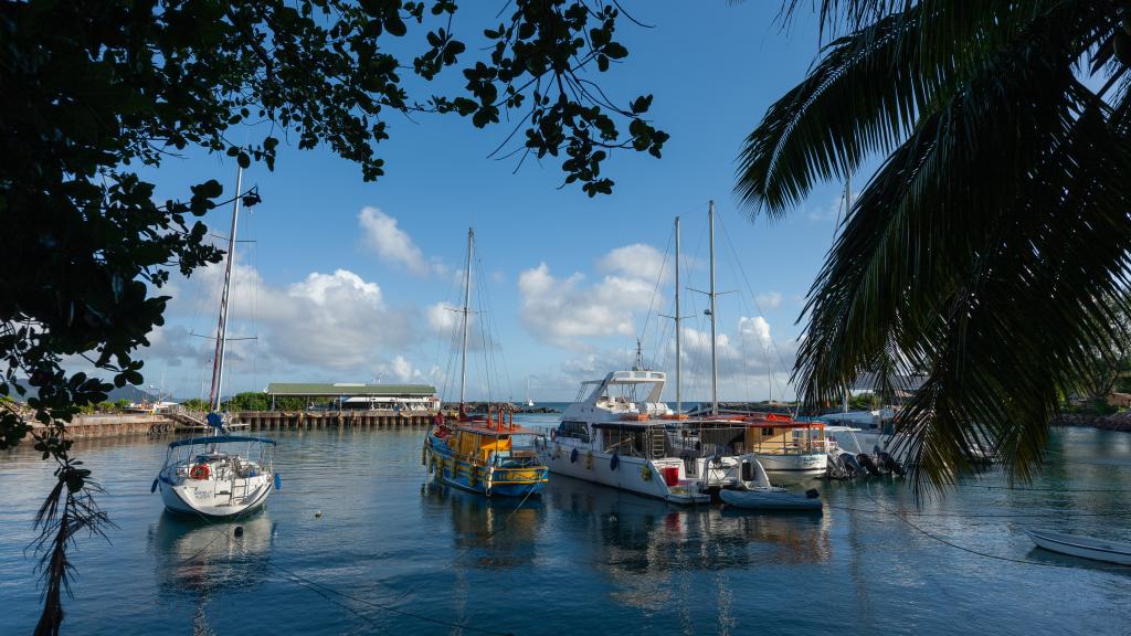 Photo 24: Casa Livingston - La Digue (Seychelles)