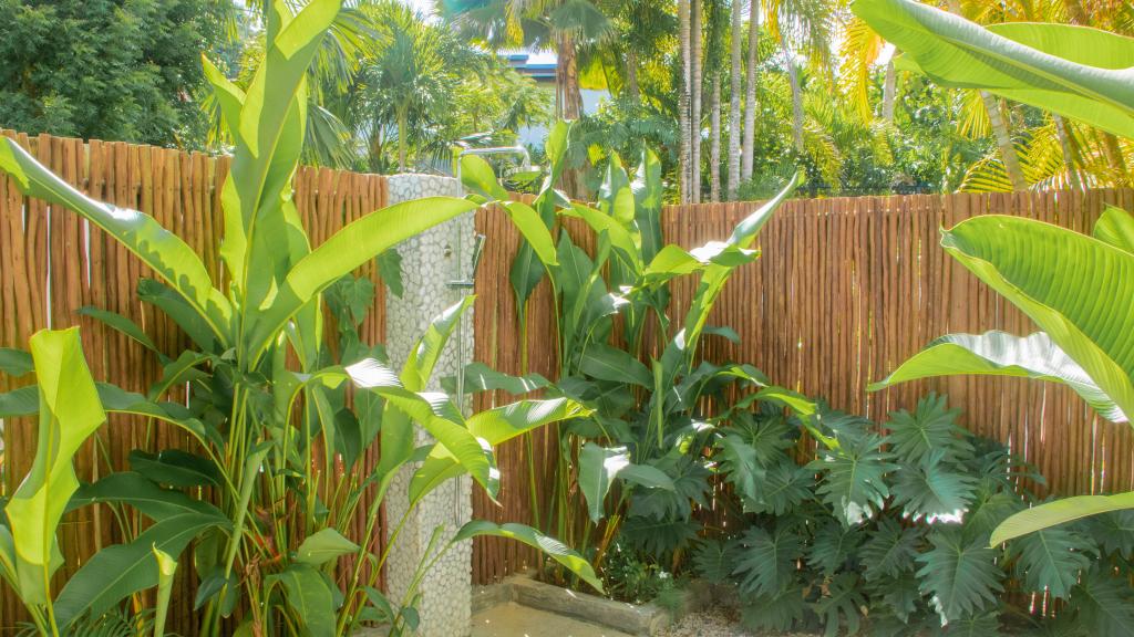 Photo 106: Pineapple Beach Villas - Mahé (Seychelles)