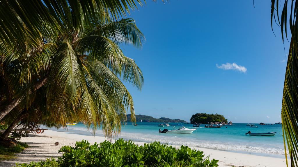 Photo 17: Saria Self Catering - Praslin (Seychelles)