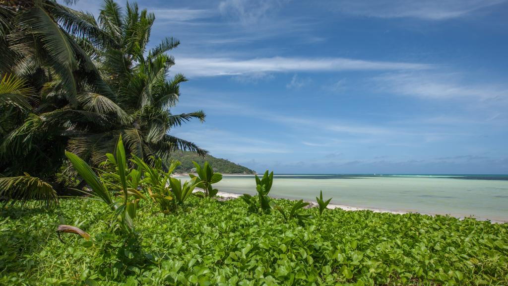 Foto 14: ANV Holiday Apartments - Praslin (Seychellen)