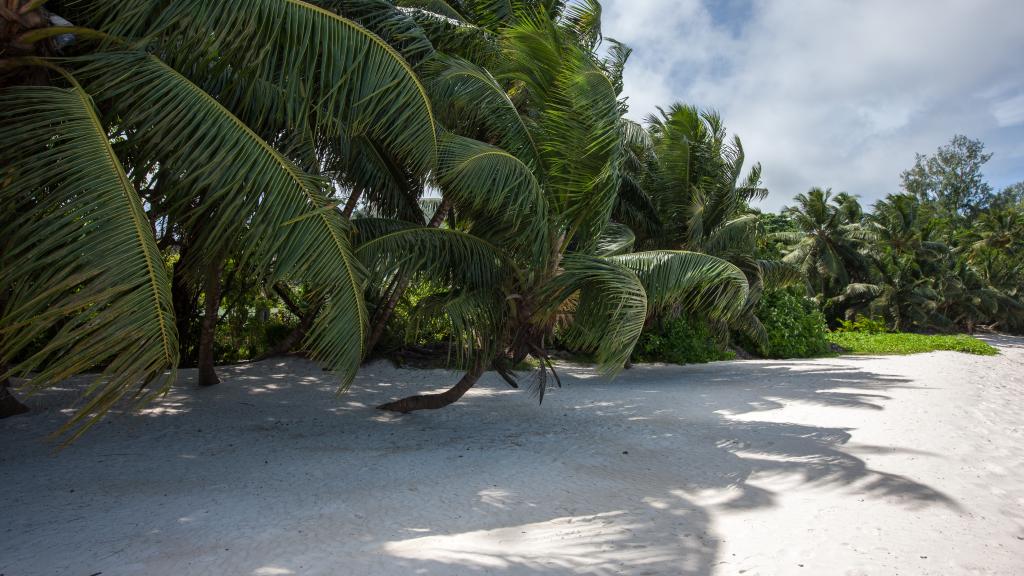 Foto 15: ANV Holiday Apartments - Praslin (Seychellen)